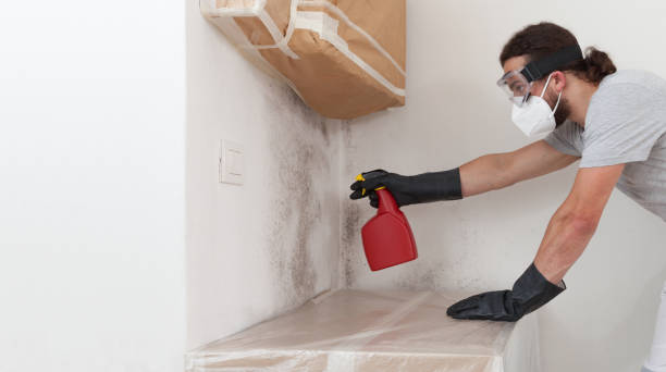 Professional Commercial Mold Remediation technician working in Bergheim, TX